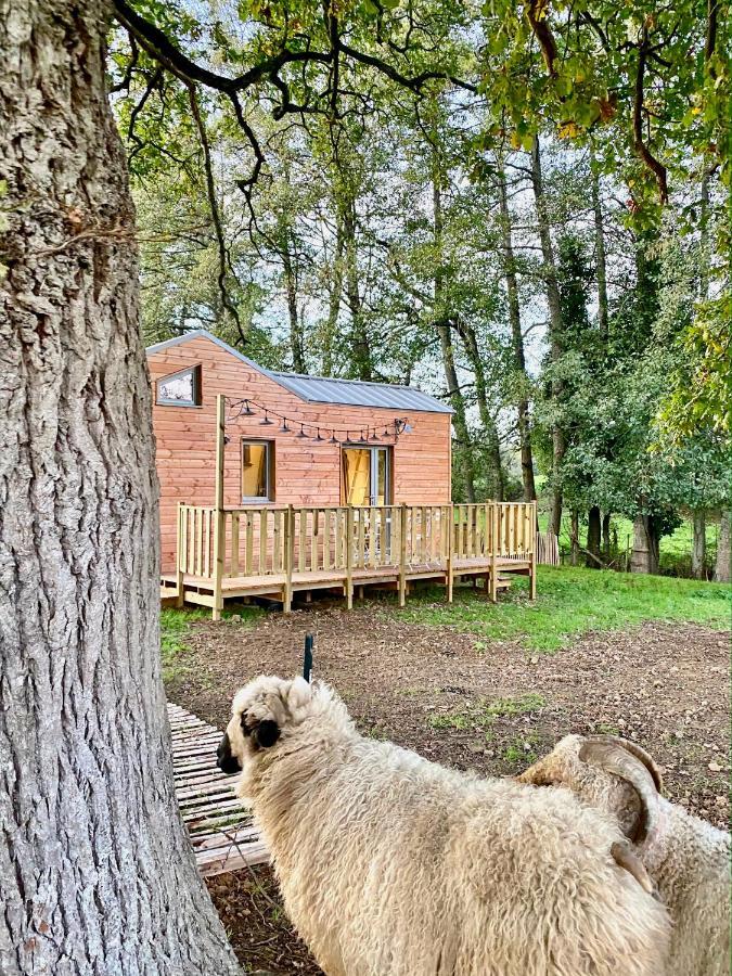 Willa Jolie Tiny House Sous Les Grands Arbres Cholet Zewnętrze zdjęcie