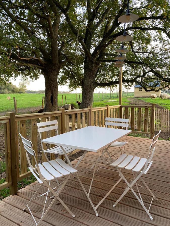 Willa Jolie Tiny House Sous Les Grands Arbres Cholet Zewnętrze zdjęcie