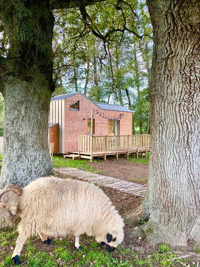 Willa Jolie Tiny House Sous Les Grands Arbres Cholet Zewnętrze zdjęcie