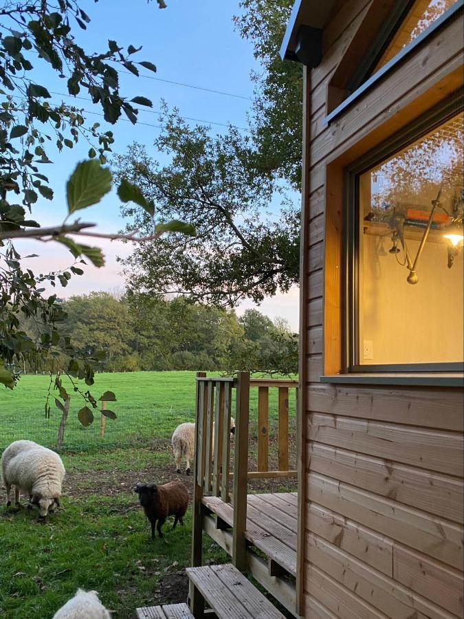 Willa Jolie Tiny House Sous Les Grands Arbres Cholet Zewnętrze zdjęcie