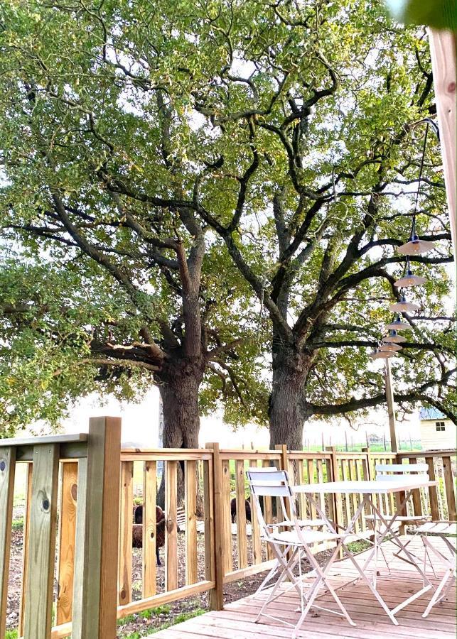 Willa Jolie Tiny House Sous Les Grands Arbres Cholet Zewnętrze zdjęcie